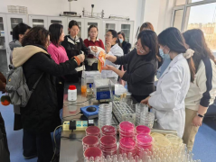 宁夏食物检测研究